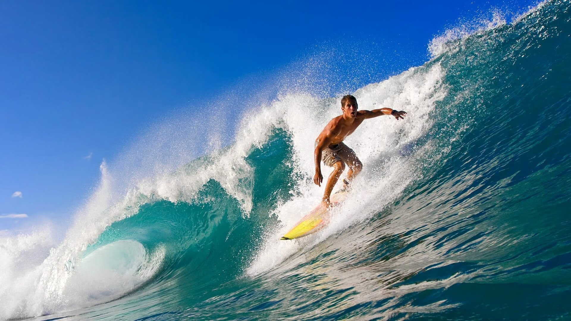 曹缘男子3米跳板赛场魅力尽显，曹缘十米跳台